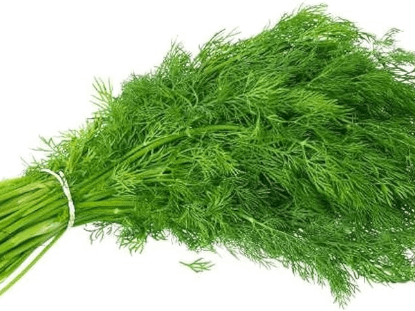 Dill