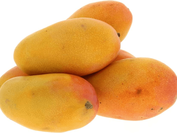 Mango Egypt