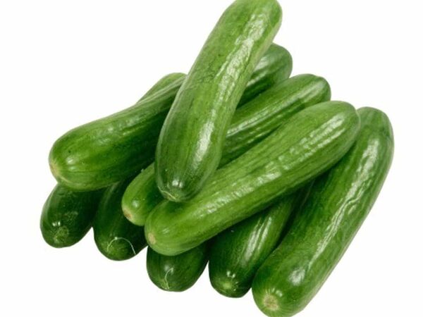 Organic Cucumber