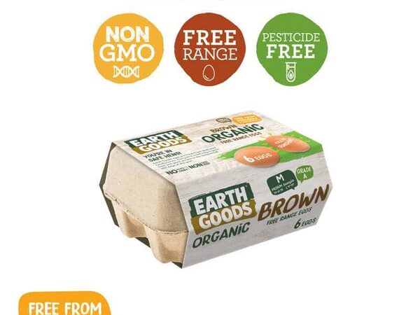 EG Organic Brown Eggs 6s