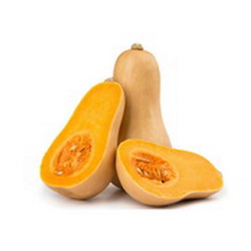 87c1e1a0 Organic Squash Butternut Heirloom Succana Orange Rugosa - Image 1