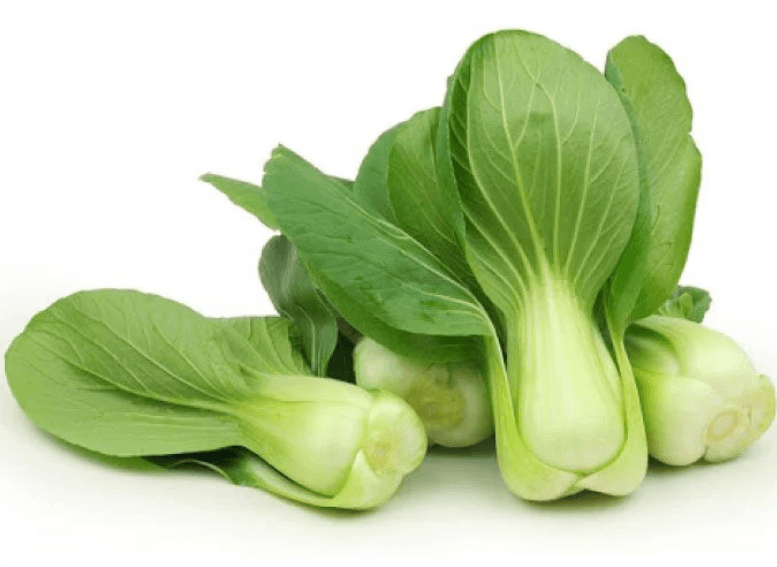 9d24716a Organic Pak Choi Heirloom Shanghai Verde - Image 1