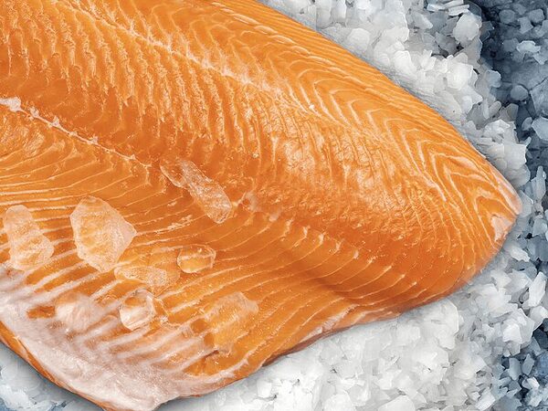 Scottish Salmon Bone