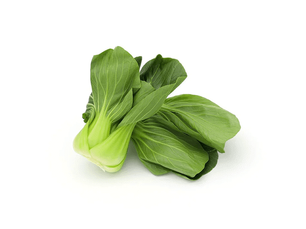 Organic Pak Choi Heirloom Shanghai Verde