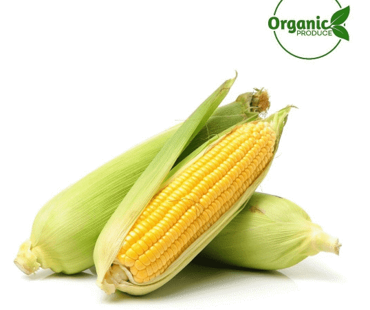 Organic Corn Gentlemen