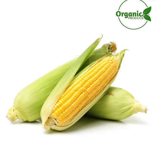 ba085302 Organic Corn Gentlemen - Image 1