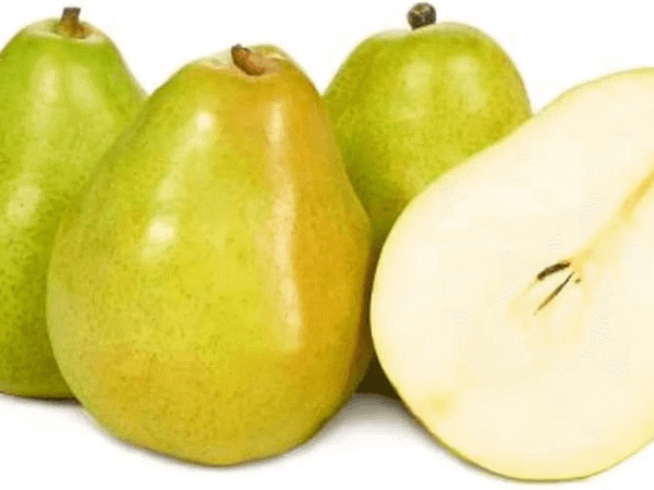 Organic Pear Kooshi