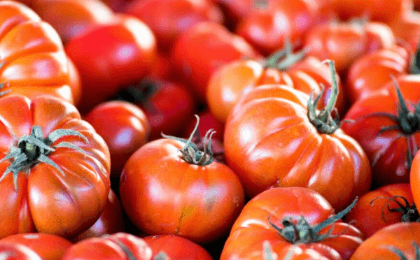 Organic Heirloom Tomato Red